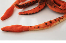 Load image into Gallery viewer, Squishy Squid