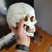 Load image into Gallery viewer, RIP Skull