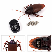 Load image into Gallery viewer, Remote-Controlled Cockroach