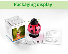 Load image into Gallery viewer, Lady Mist