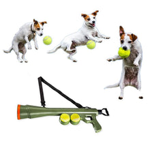 Load image into Gallery viewer, Fetching Gun