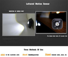 Load image into Gallery viewer, FALSE