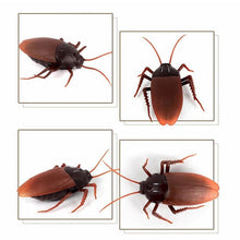 Load image into Gallery viewer, Remote-Controlled Cockroach