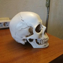 Load image into Gallery viewer, RIP Skull