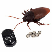 Load image into Gallery viewer, Remote-Controlled Cockroach