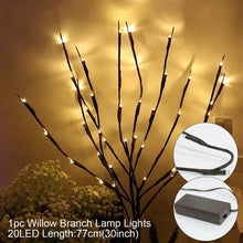 Load image into Gallery viewer, Christmas Lights