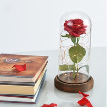 Load image into Gallery viewer, Fairy Tale Rose
