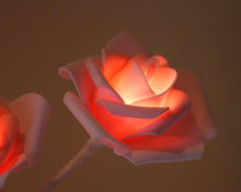 Load image into Gallery viewer, Glowing Flowers Rose Decor
