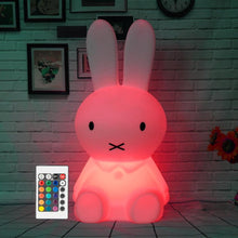 Load image into Gallery viewer, Hoppy Lamp LED Nightlight
