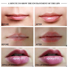 Load image into Gallery viewer, Lip Lover Plumper
