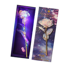 Load image into Gallery viewer, Eternal Kiss Rose
