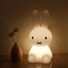 Load image into Gallery viewer, Hoppy Lamp LED Nightlight
